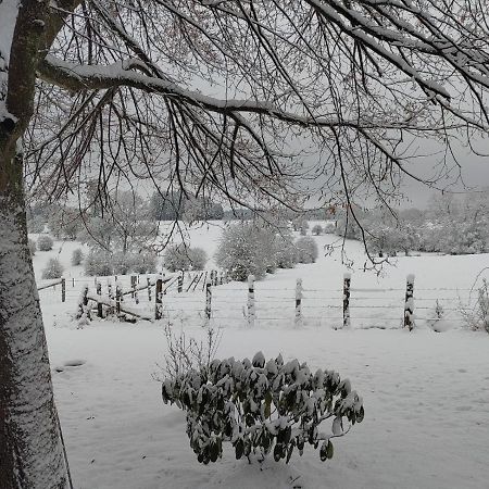 Abri De Jardin Villa Vielsalm Exterior foto